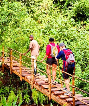 bridge2